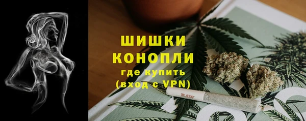 дурь Гусиноозёрск