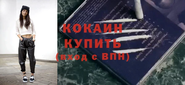 дурь Гусиноозёрск