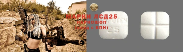 дурь Гусиноозёрск