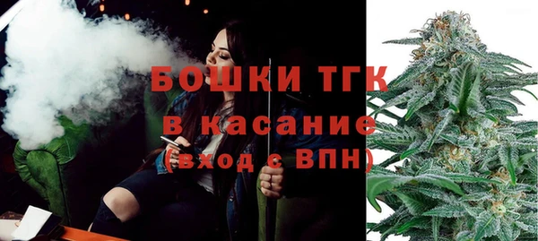 дурь Гусиноозёрск