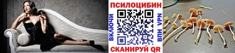 Псилоцибиновые грибы прущие грибы Теберда